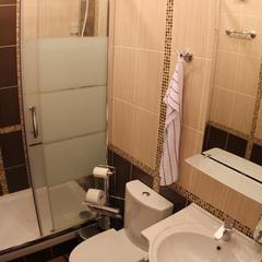 Мини-отель Мансарда, Санкт-Петербург, Ленинградская область