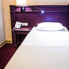 Отель Бридж, Санкт-Петербург, Ленинградская область