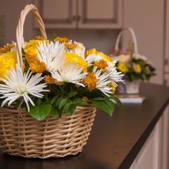 Мини-отель Классики, Санкт-Петербург, Ленинградская область