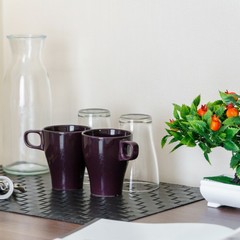 Отель Meridian, Санкт-Петербург, Ленинградская область