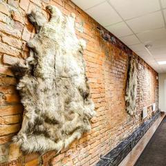 Апартаменты Петровский дворик, Санкт-Петербург, Ленинградская область