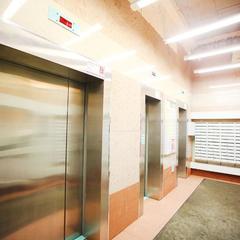 Апартаменты Домотелли на Пионерской, Санкт-Петербург, Ленинградская область