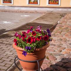 Апартаменты Петровский дворик, Санкт-Петербург, Ленинградская область