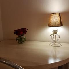 Гостиница Le Classique, Санкт-Петербург, Ленинградская область