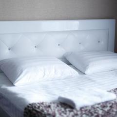 Мини-гостиница Асмера на Владимирской, Санкт-Петербург, Ленинградская область