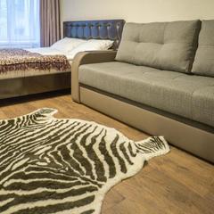 Мини-гостиница Асмера на Владимирской, Санкт-Петербург, Ленинградская область