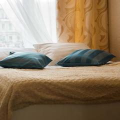 Мини-гостиница Асмера на Владимирской, Санкт-Петербург, Ленинградская область