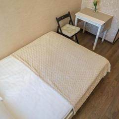 Мини-гостиница Асмера на Владимирской, Санкт-Петербург, Ленинградская область