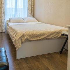 Мини-гостиница Асмера на Владимирской, Санкт-Петербург, Ленинградская область