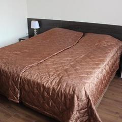 Отель DM Hotel, Санкт-Петербург, Ленинградская область