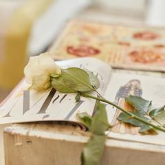 Отель Алиса, Санкт-Петербург, Ленинградская область