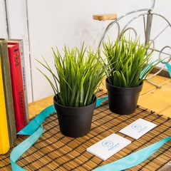 Хостел Velohostel Fontanka, Санкт-Петербург, Ленинградская область