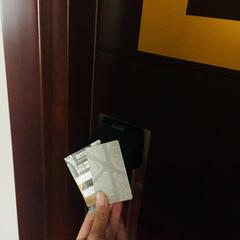 Хостел Нетизен Санкт-Петербург Центр, Санкт-Петербург, Ленинградская область