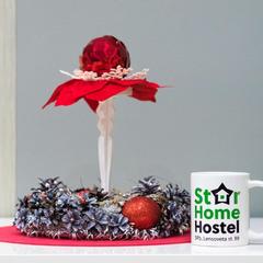 Хостел Star Home, Санкт-Петербург, Ленинградская область