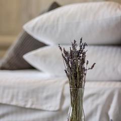 Отель Бутик-Отель Дягилев, Санкт-Петербург, Ленинградская область