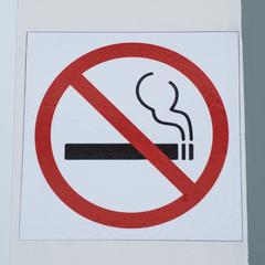 Хостел Star Home, Санкт-Петербург, Ленинградская область