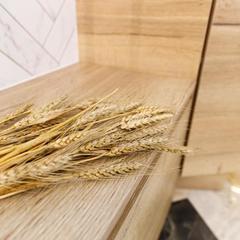 Отель Бутик-Отель Мегаполис, Санкт-Петербург, Ленинградская область