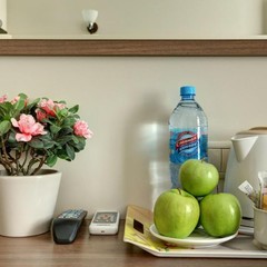 Мини-отель Алжен, Санкт-Петербург, Ленинградская область