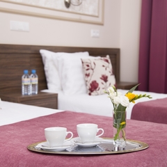 Отель Гранд Отель Чайковский, Санкт-Петербург, Ленинградская область