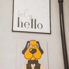 Хостел Полежаев, Санкт-Петербург, Ленинградская область