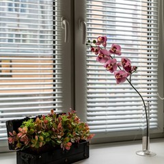 Отель Loft Garden, Санкт-Петербург, Ленинградская область