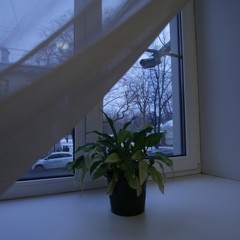 Гостиница Большого Санкт-Петербургского государственного цирка, Санкт-Петербург, Ленинградская область