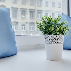 Апартаменты Sokroma Molbert Aparts, Санкт-Петербург, Ленинградская область