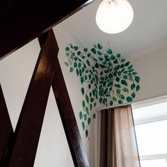 Хостел Белый хостел, Санкт-Петербург, Ленинградская область