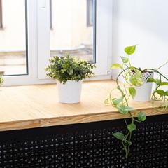 Хостел Штиль, Санкт-Петербург, Ленинградская область