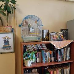 Хостел Shelter, Санкт-Петербург, Ленинградская область