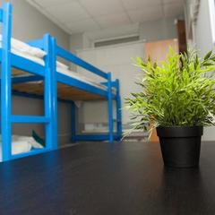 Хостел Plus Peter, Санкт-Петербург, Ленинградская область