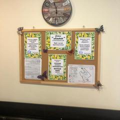 Хостел Новелла, Санкт-Петербург, Ленинградская область