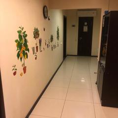 Хостел Новелла, Санкт-Петербург, Ленинградская область