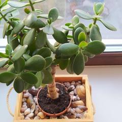 Хостел BAUHAUS, Санкт-Петербург, Ленинградская область