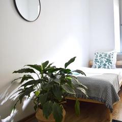 Хостел Лайка на Московском, Санкт-Петербург, Ленинградская область