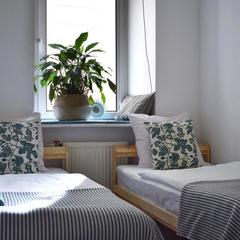 Хостел Лайка на Московском, Санкт-Петербург, Ленинградская область