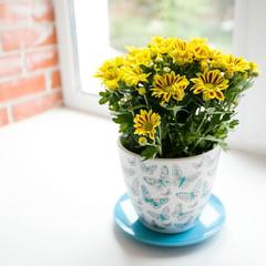 Хостел Simple Italy, Санкт-Петербург, Ленинградская область