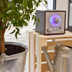 Хостел Лайка на Московском, Санкт-Петербург, Ленинградская область