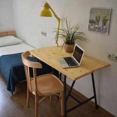 Хостел Лайка на Московском, Санкт-Петербург, Ленинградская область