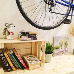 Хостел Лайка на Московском, Санкт-Петербург, Ленинградская область