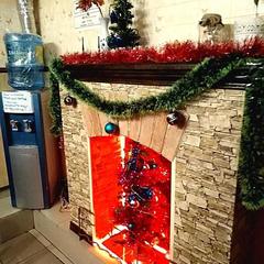 Хостел Джунгли, Санкт-Петербург, Ленинградская область