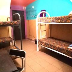 Хостел Джунгли, Санкт-Петербург, Ленинградская область