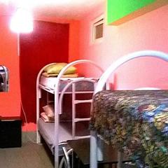 Хостел Джунгли, Санкт-Петербург, Ленинградская область