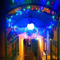 Хостел Джунгли, Санкт-Петербург, Ленинградская область