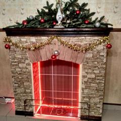 Хостел Джунгли, Санкт-Петербург, Ленинградская область