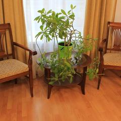 Отель Новэль Европа, Санкт-Петербург, Ленинградская область