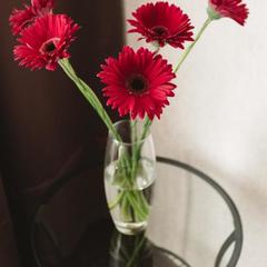 Апарт-отель Asmera on Kolokolnaya Apart-Hotel, Санкт-Петербург, Ленинградская область