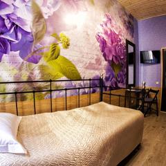 Мини-отель Бонжур, Санкт-Петербург, Ленинградская область