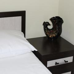 Мини-отель Ассоль, Санкт-Петербург, Ленинградская область