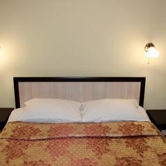 Мини-отель Ассоль, Санкт-Петербург, Ленинградская область